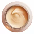 Shiseido Benefiance Overnight Wrinkle Resisting Cream ͳ   