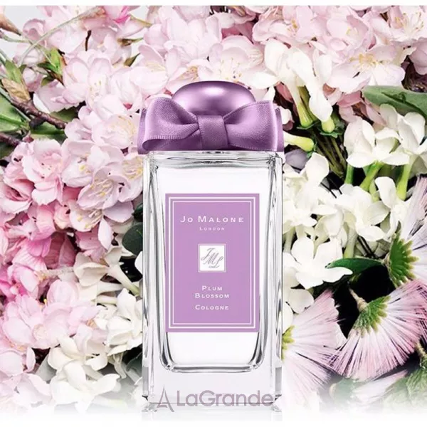 Jo Malone Plum Blossom 2017 �������� (������)
