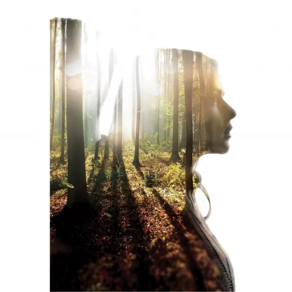 Novellista Unique Wood ����������� ����