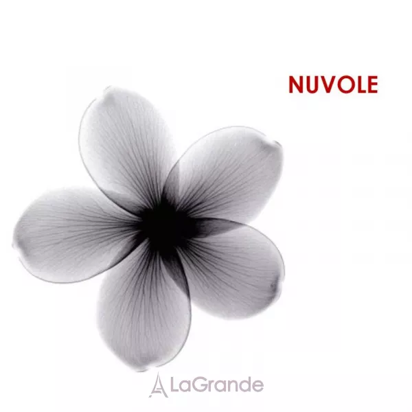 Zeromolecole Nuvole ����������� ����
