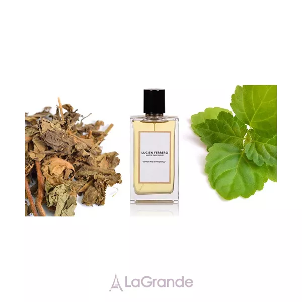 Lucien Ferrero Maitre Parfumeur  Ce N'est Pas Un Patchouly ��������������� ���� (������)