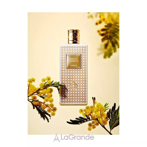 Perris Monte Carlo  Mimosa Tanneron ��������������� ���� (������)