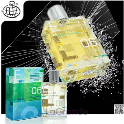 Fragrance World Esscentric 06  