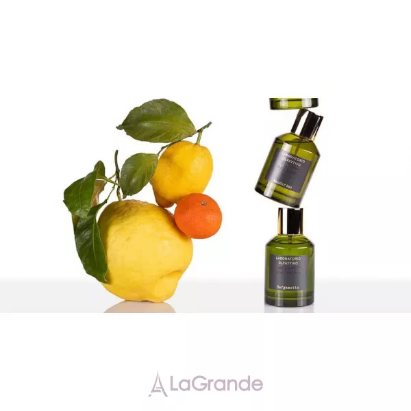 Laboratorio Olfattivo Bergamotto ��������������� ����