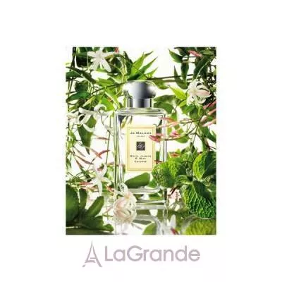 Jo Malone White Jasmine & Mint   