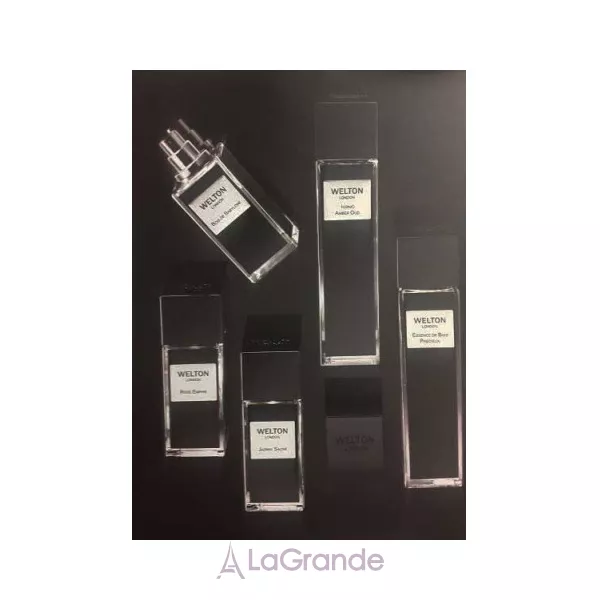 Welton London  Jasmin Sacre ��������������� ���� (������)