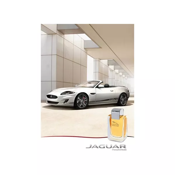 Jaguar Excellence Jaguar ����������� ����