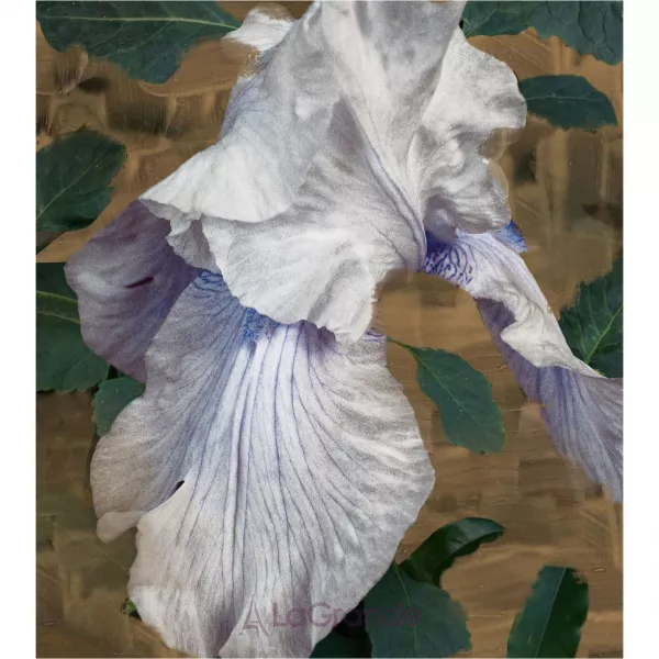 Byredo Parfums Eyes Closed ����������� ���� (������)