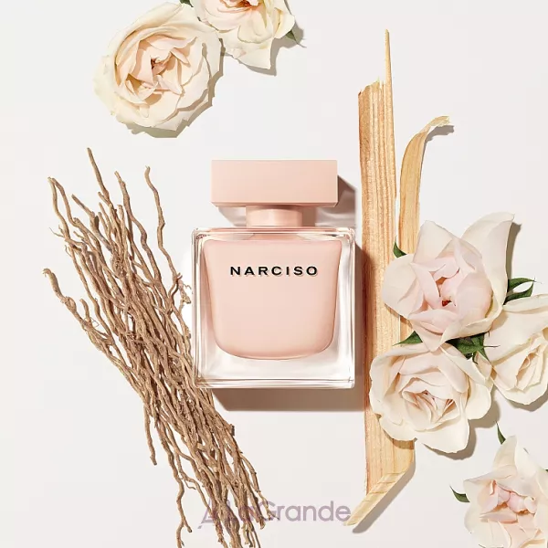 Narciso Rodriguez Narciso Poudree ����� (��������������� ���� 90 �� + ��������������� ���� 10 ��)
