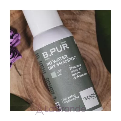 Echosline B.Pur no water dry shampoo  