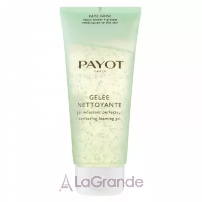 Payot Pate Grise Gelee Nettoyante Perfecting Foaming Gel   
