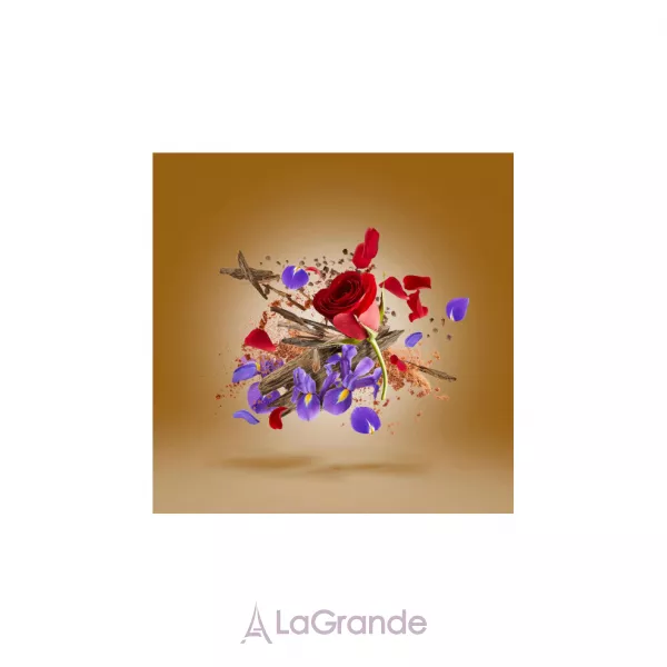Xerjoff Oud Stars Alexandria Orientale ���� (������)