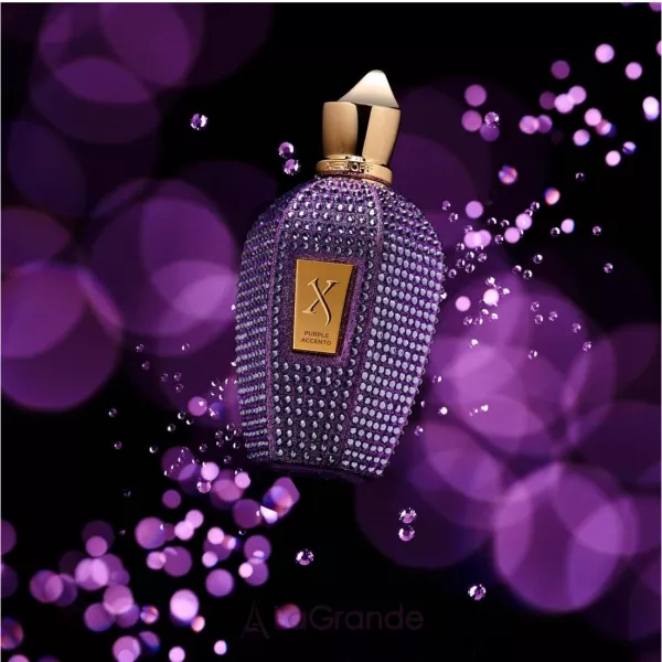Xerjoff Purple Accento ��������������� ����