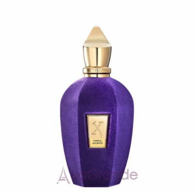 Xerjoff Purple Accento   ()