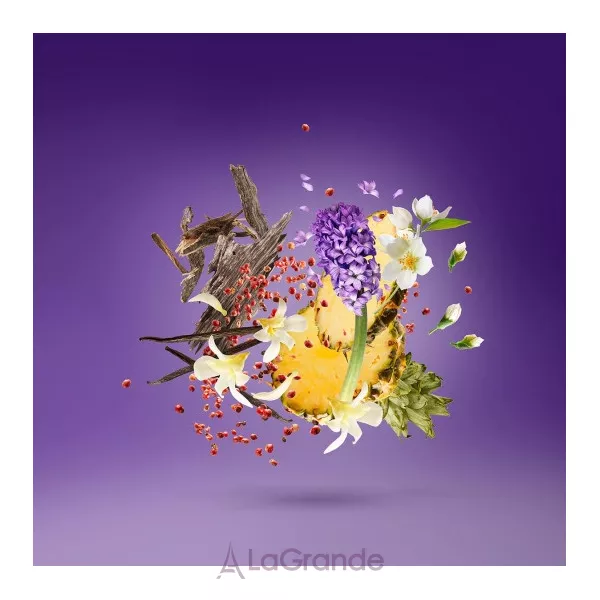 Xerjoff Purple Accento ��������������� ���� (������)