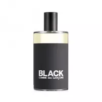 Comme Des Garcons Black �������� ���� (������)