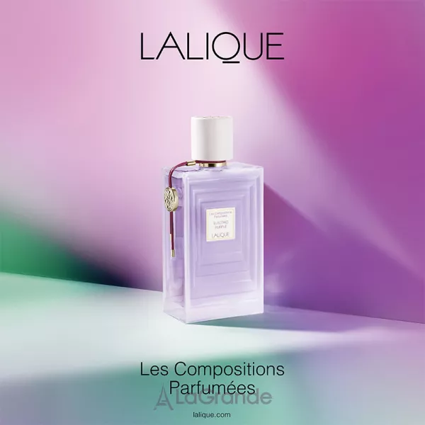 Lalique Electric Purple ��������������� ���� (������)