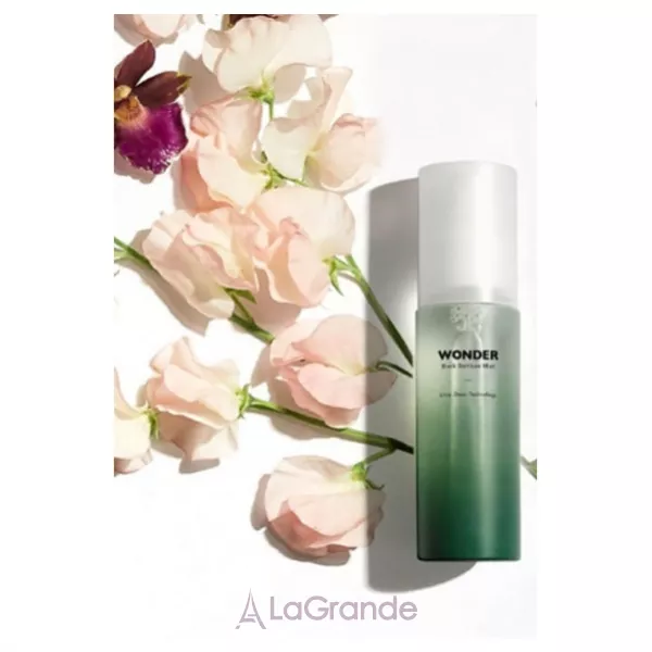 Haruharu Wonder Black Bamboo Mist ����� ��� ������� �� ���������� ������� �������