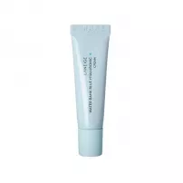 Laneige Water Bank Blue Hyaluronic Cream Moisturizer �������������� ����������� ���� ��� �������