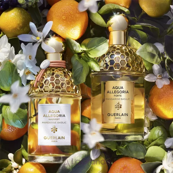 Guerlain Aqua Allegoria Mandarine Basilic Harvest ��������� ����