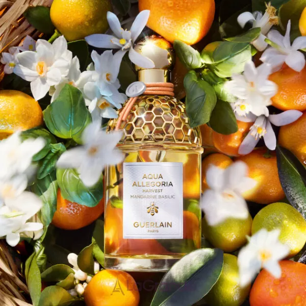 Guerlain Aqua Allegoria Mandarine Basilic Harvest ��������� ���� (������)