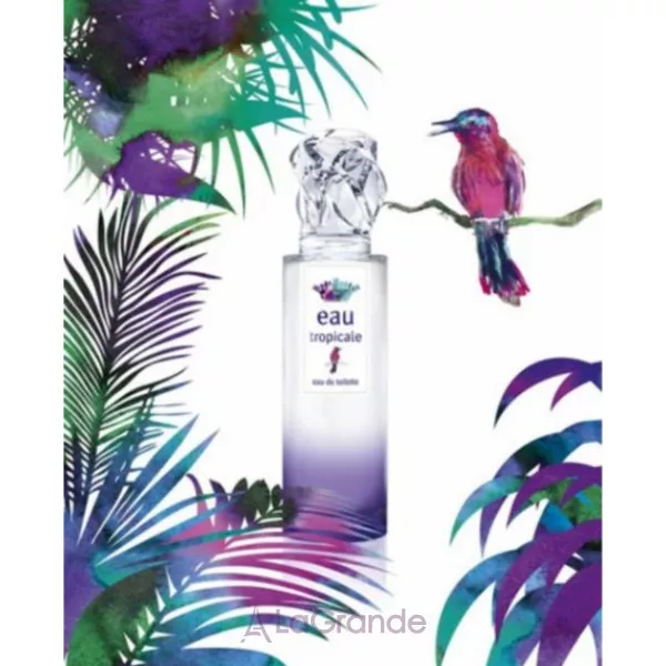 Sisley Eau Tropicale ������ ��� ����