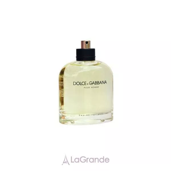 Dolce & Gabbana pour Homme �������� ���� (������)