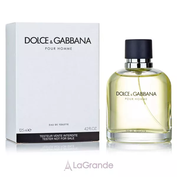Dolce & Gabbana pour Homme �������� ���� (������)