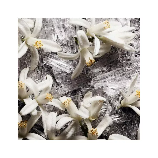 Yves Saint Laurent Saharienne - Le Vestiaire des Parfums ��������������� ���� (������)