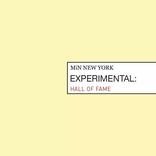 MiN New York Hall of Fame ����������� ����