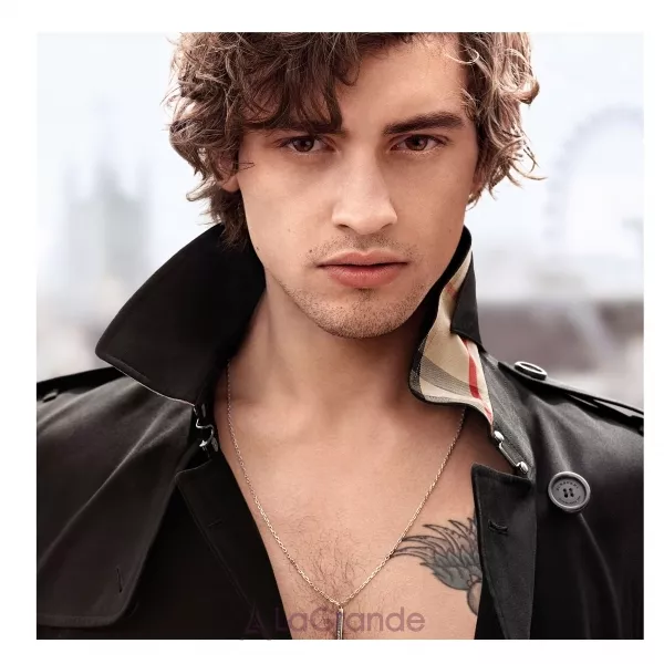 Burberry Mr. Burberry ��������� ����