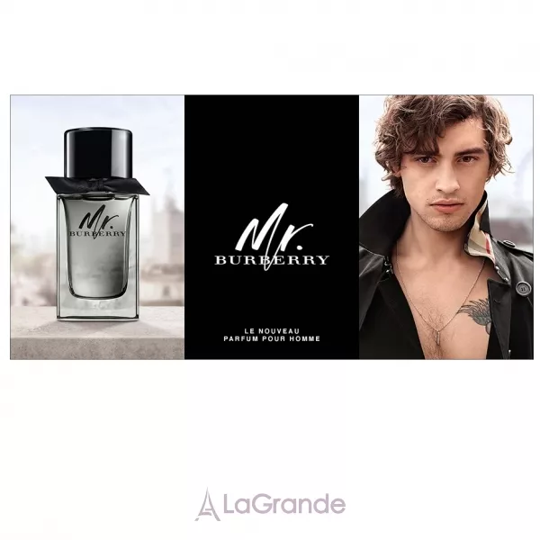 Burberry Mr. Burberry ��������� ����