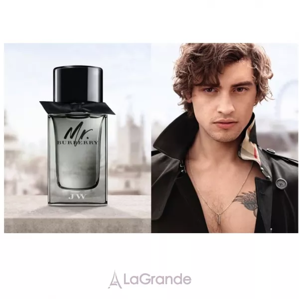 Burberry Mr. Burberry �������� ���� (������)