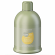 Alter Ego CureEgo Silk Oil Shampoo 300ml