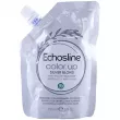 Echosline Color Up Colouring Conditioning Mask Silver Blond 150ml