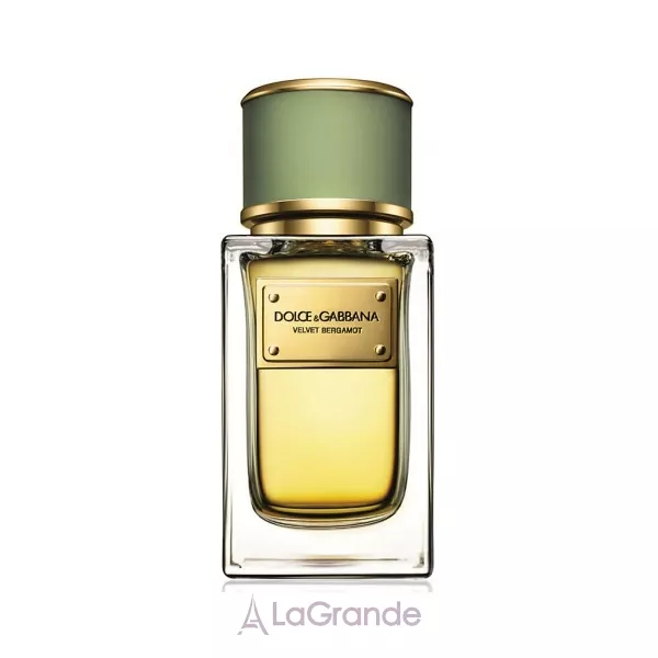 Dolce & Gabbana Velvet Bergamot ��������������� ����