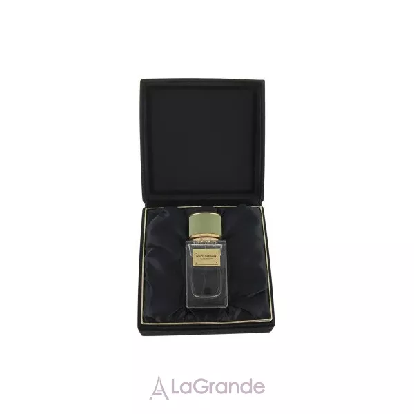 Dolce & Gabbana Velvet Bergamot ��������������� ����
