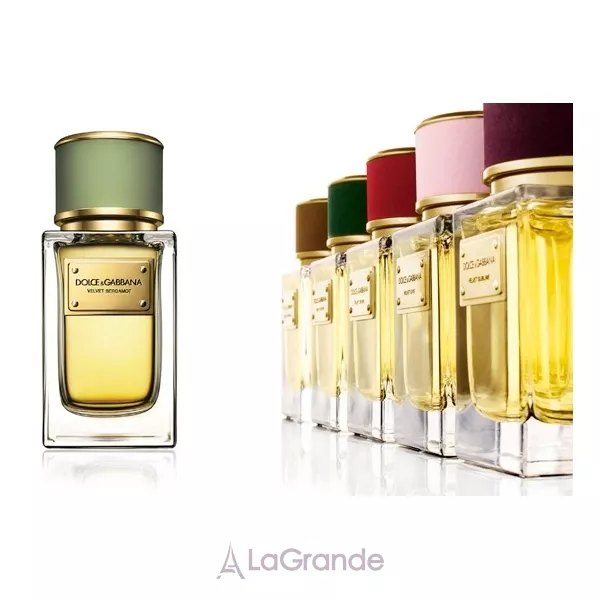 Dolce & Gabbana Velvet Bergamot ��������������� ����
