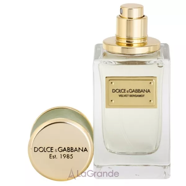 Dolce & Gabbana Velvet Bergamot ����������� ���� (������)