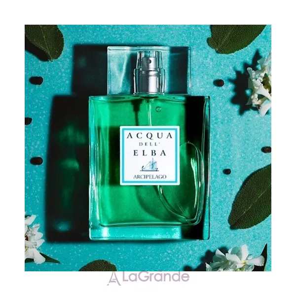 Acqua dell Elba  Arcipelago Men ��������������� ���� (������)