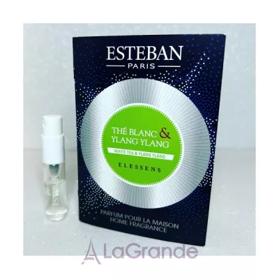 Esteban White Tea & Ylang Ylang    (  )