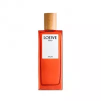 Loewe Solo Atlas ����������� ���� (������)
