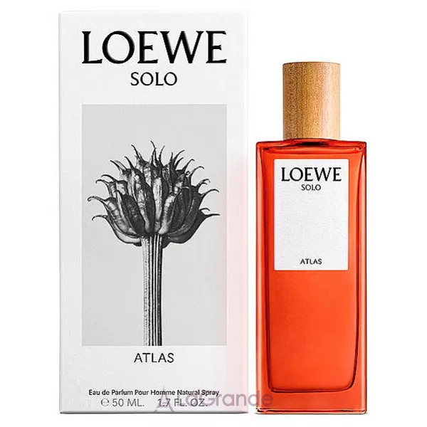 Loewe Solo Atlas ��������������� ���� (������)