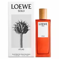 Loewe Solo Atlas ����������� ����