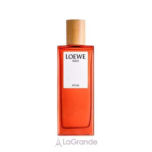 Loewe Solo Atlas ����������� ����