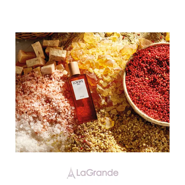 Loewe Solo Atlas ����������� ����