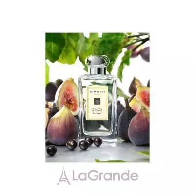 Jo Malone Wild Fig & Cassis 