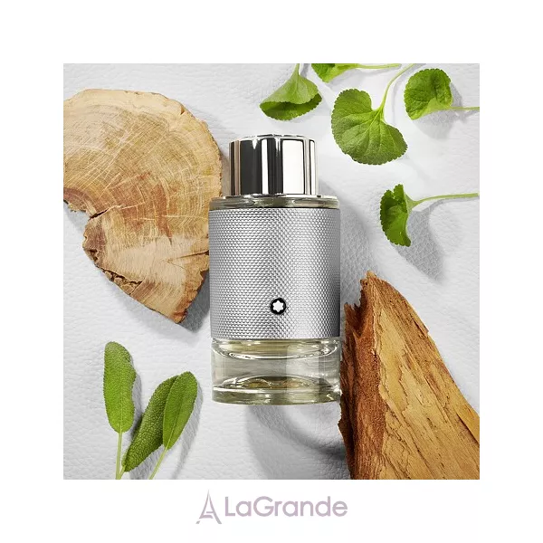 Mont Blanc Explorer Platinum ��������������� ����