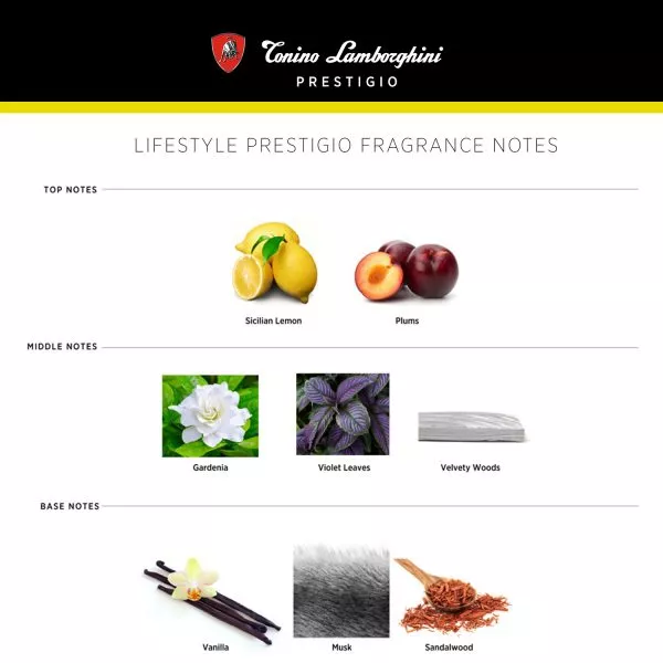 Tonino Lamborghini Prestigio �������� ����
