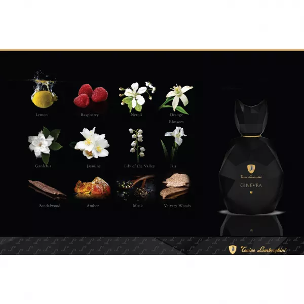 Tonino Lamborghini Ginevra Black Panther ����������� ����